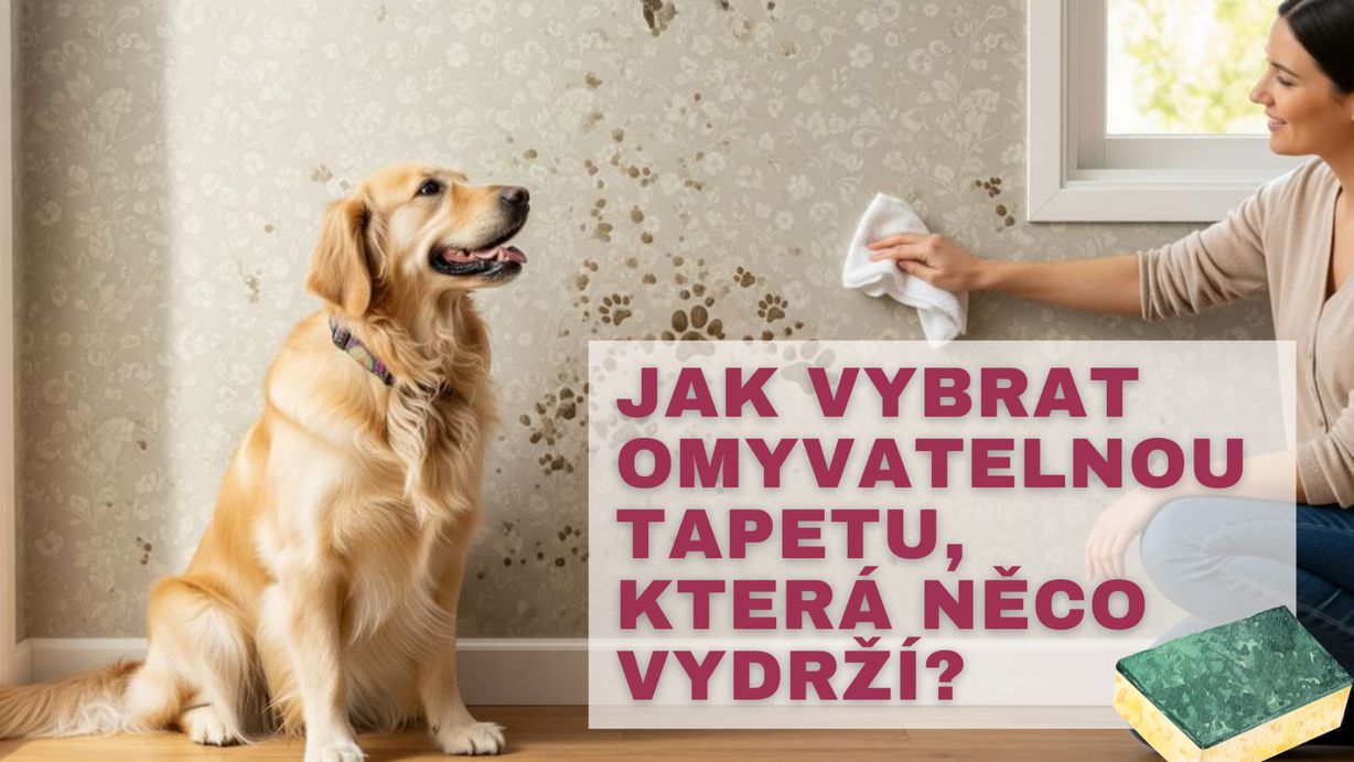 omyvatelnost tapet