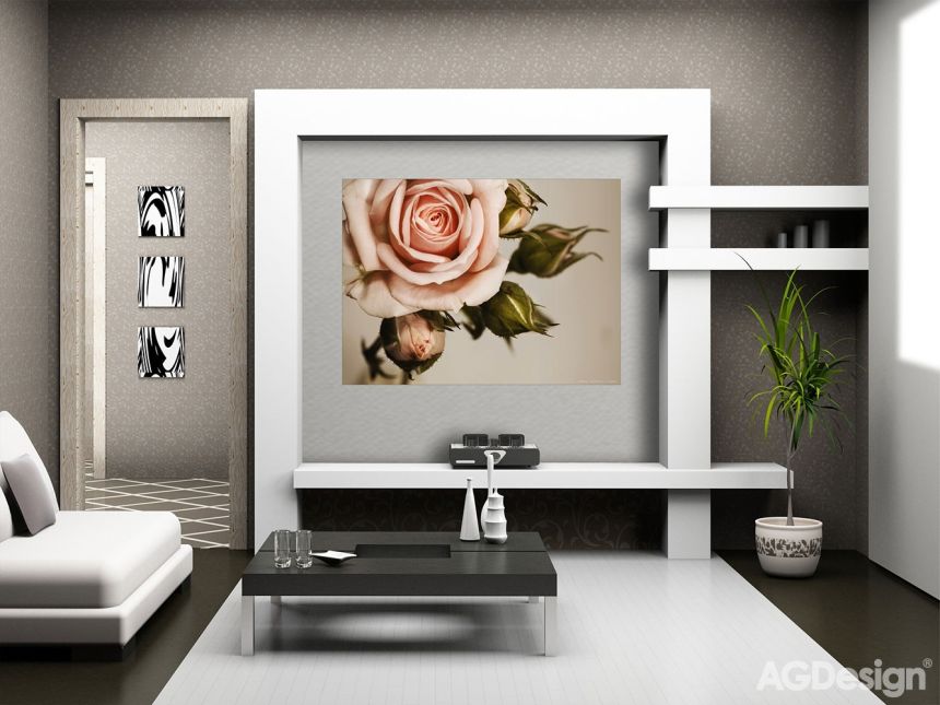 Fototapeta na zeď FTN M 2620, Růžová růže, 155 x 110 cm, AG Design