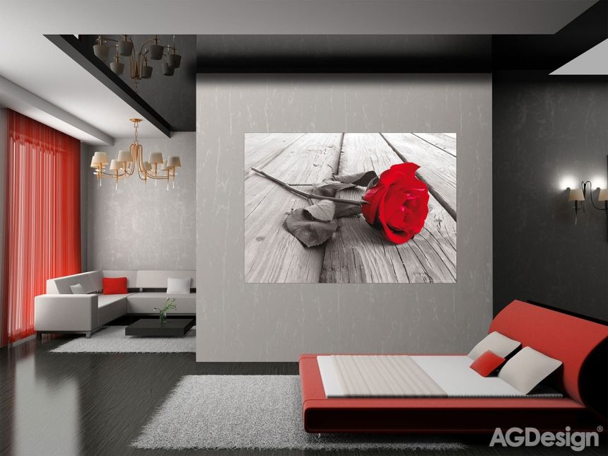 Fototapeta na zeď FTN M 2619, Rudá růže, 155 x 110 cm, AG Design