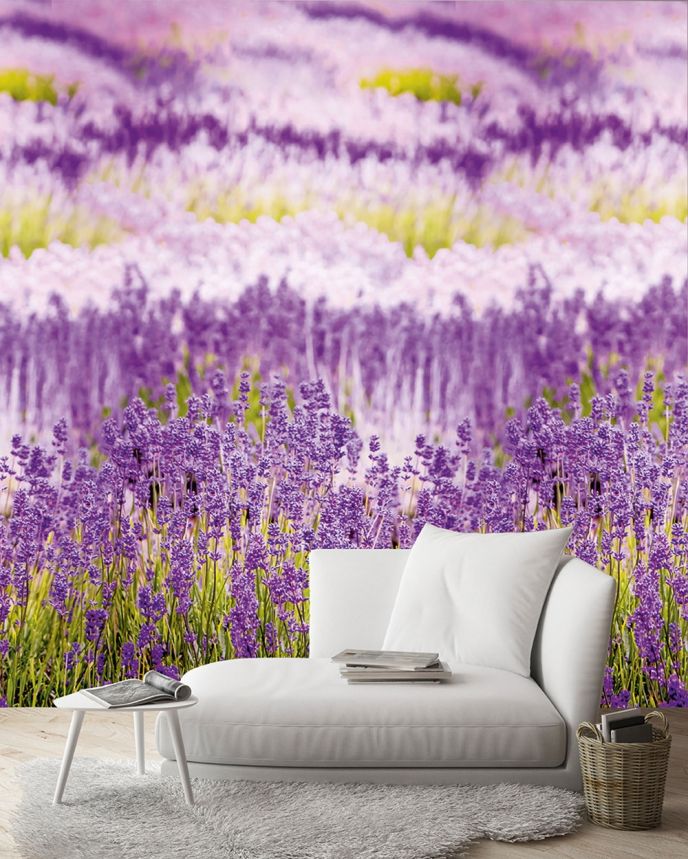 Fototapeta na zeď Provence Levandule A35901, 159 x 280 cm, Organiser, Murals, Grandeco