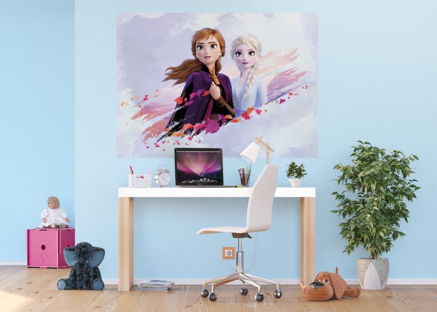 Dětská vliesová obrazová tapeta FTDN M 5263, Disney, Ledové království, 155 x 110 cm, AG Design