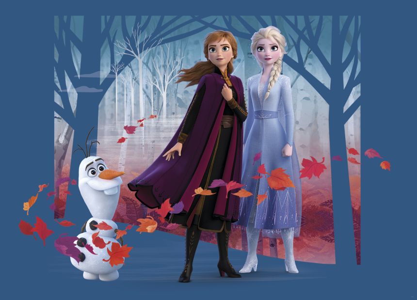 Dětská vliesová fototapeta na zeď - FTDN M 5264, Disney, Ledové království, 155 x 110 cm, AG Design