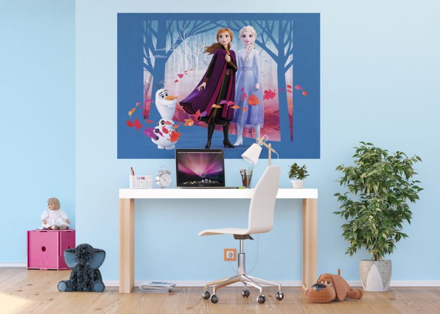 Dětská vliesová fototapeta na zeď - FTDN M 5264, Disney, Ledové království, 155 x 110 cm, AG Design