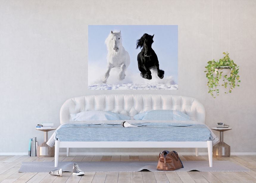 Fototapeta na zeď FTN M 2691, Černý a bílý kůň, Koně, 155 x 110 cm, AG Design