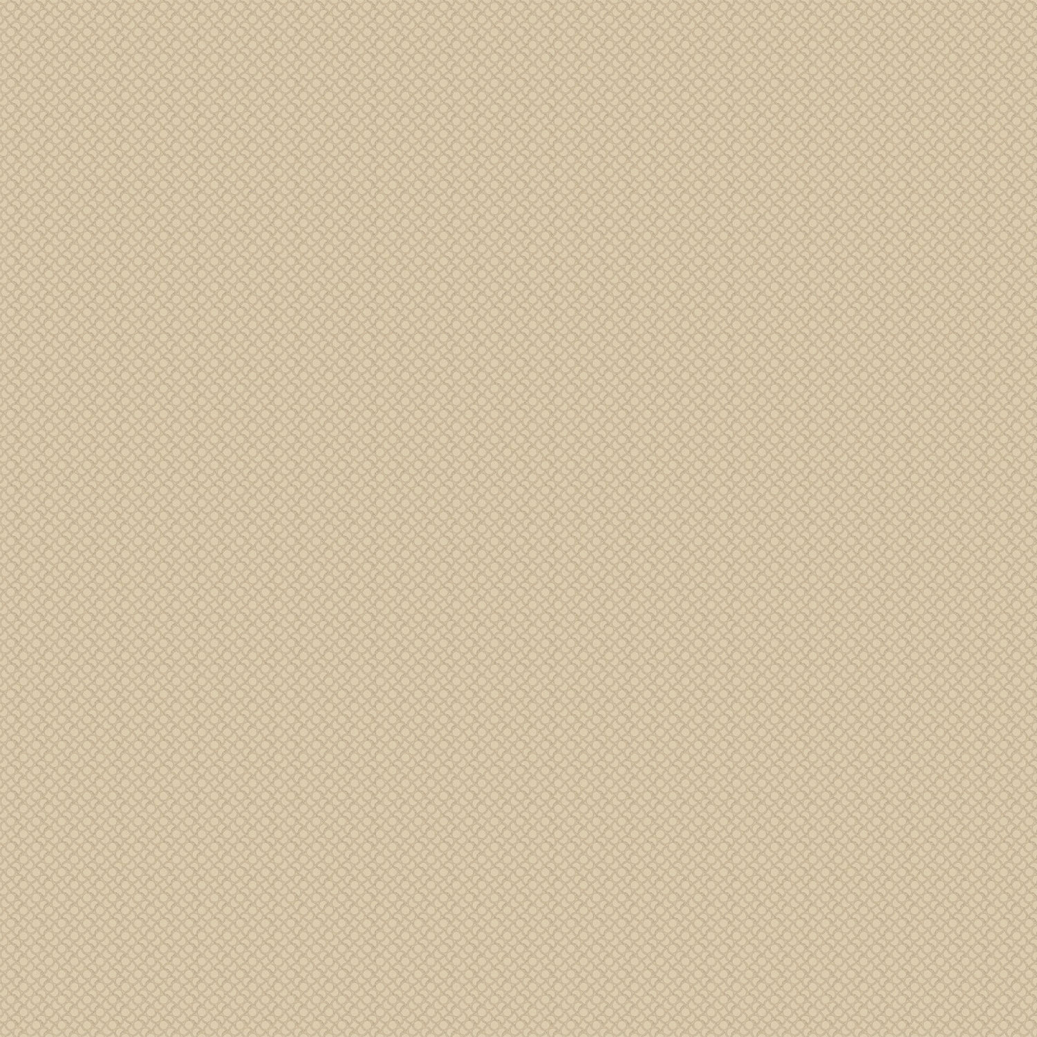 Luxusní fototapeta na zeď, Logo, Z18994, Trussardi 7, Zambaiti Parati