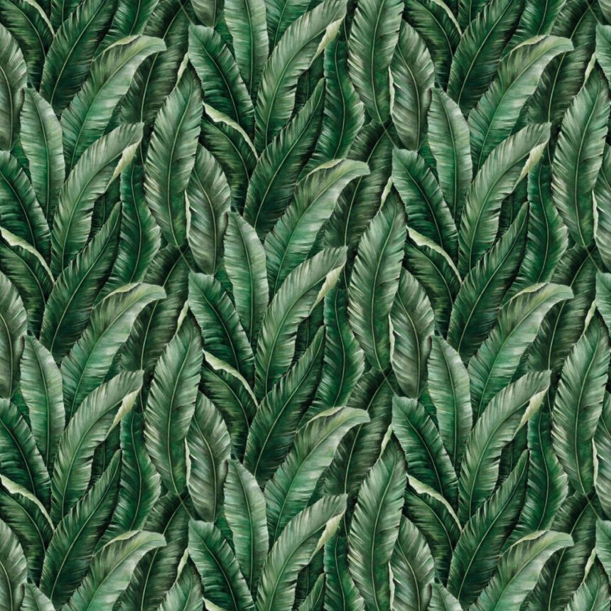 Luxusní vliesová fototapeta na zeď, listy, Z77596, Savana, Zambaiti Parati