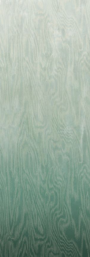 Vliesová fototapeta na zeď, Moiré, DG4MOI1021-300, Wall Designs IV, Khroma by Masureel