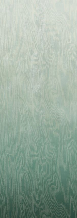 Vliesová fototapeta na zeď, Moiré, DG4MOI1023-300, Wall Designs IV, Khroma by Masureel