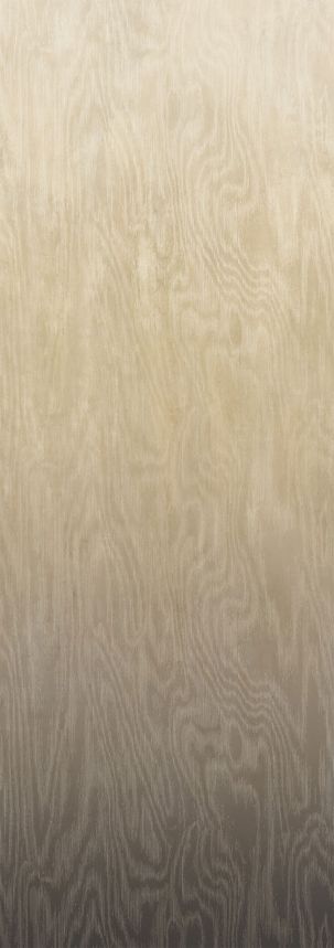 Vliesová fototapeta na zeď, Moiré, DG4MOI1052-300, Wall Designs IV, Khroma by Masureel