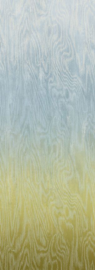 Vliesová fototapeta na zeď, Moiré, DG4MOI1072-300, Wall Designs IV, Khroma by Masureel