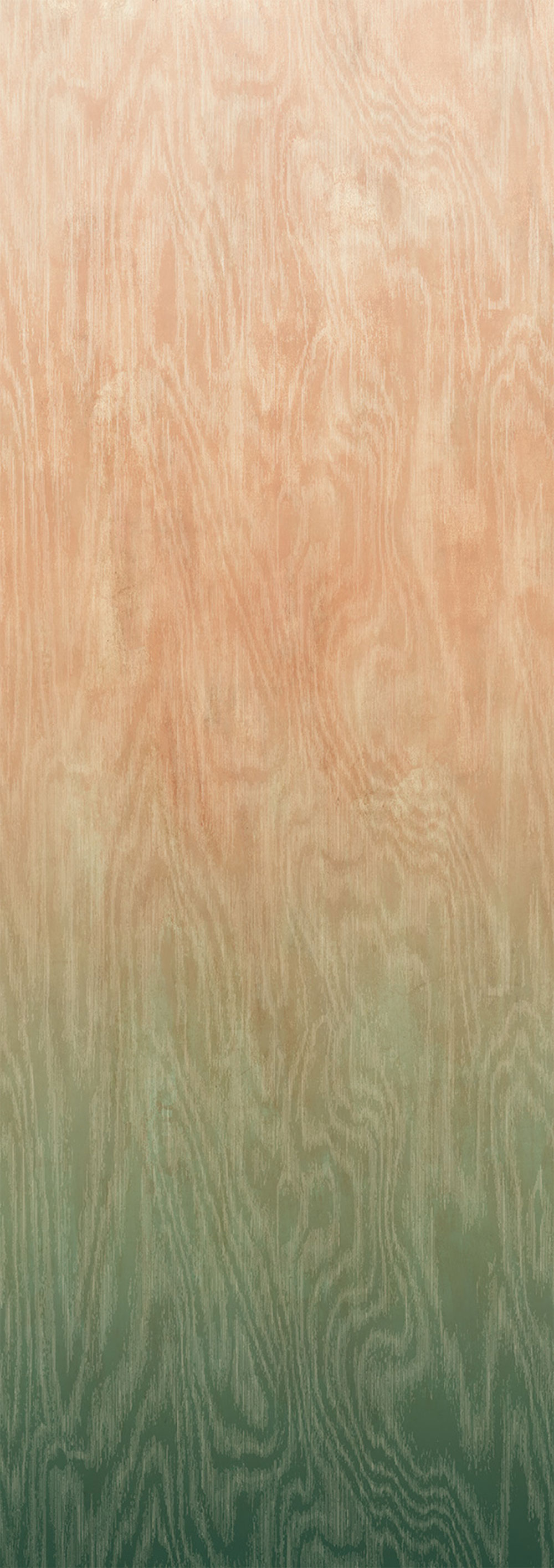 Vliesová fototapeta na zeď, Moiré, DG4MOI1081-260, Wall Designs IV, Khroma by Masureel