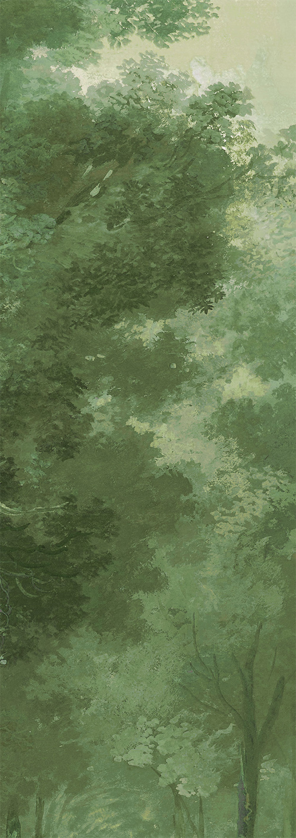 Vliesová fototapeta  na zeď, les, stromy, DG4WOO1021-260, Wall Designs IV, Khroma by Masureel