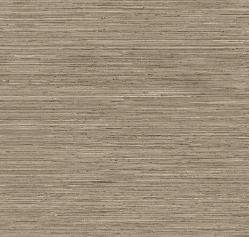 73523, Pampas, Arte