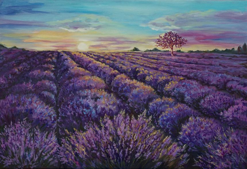 Fototapety na míru, Provence, Levandulové pole, 10166, Vavex