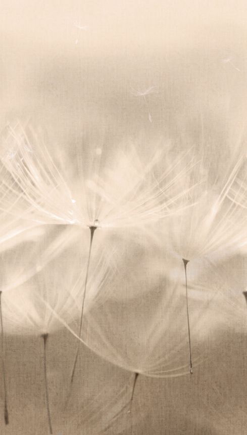 Vliesová fototapeta na zeď, pampelišky, 203801, One roll, one motif 2, Grandeco