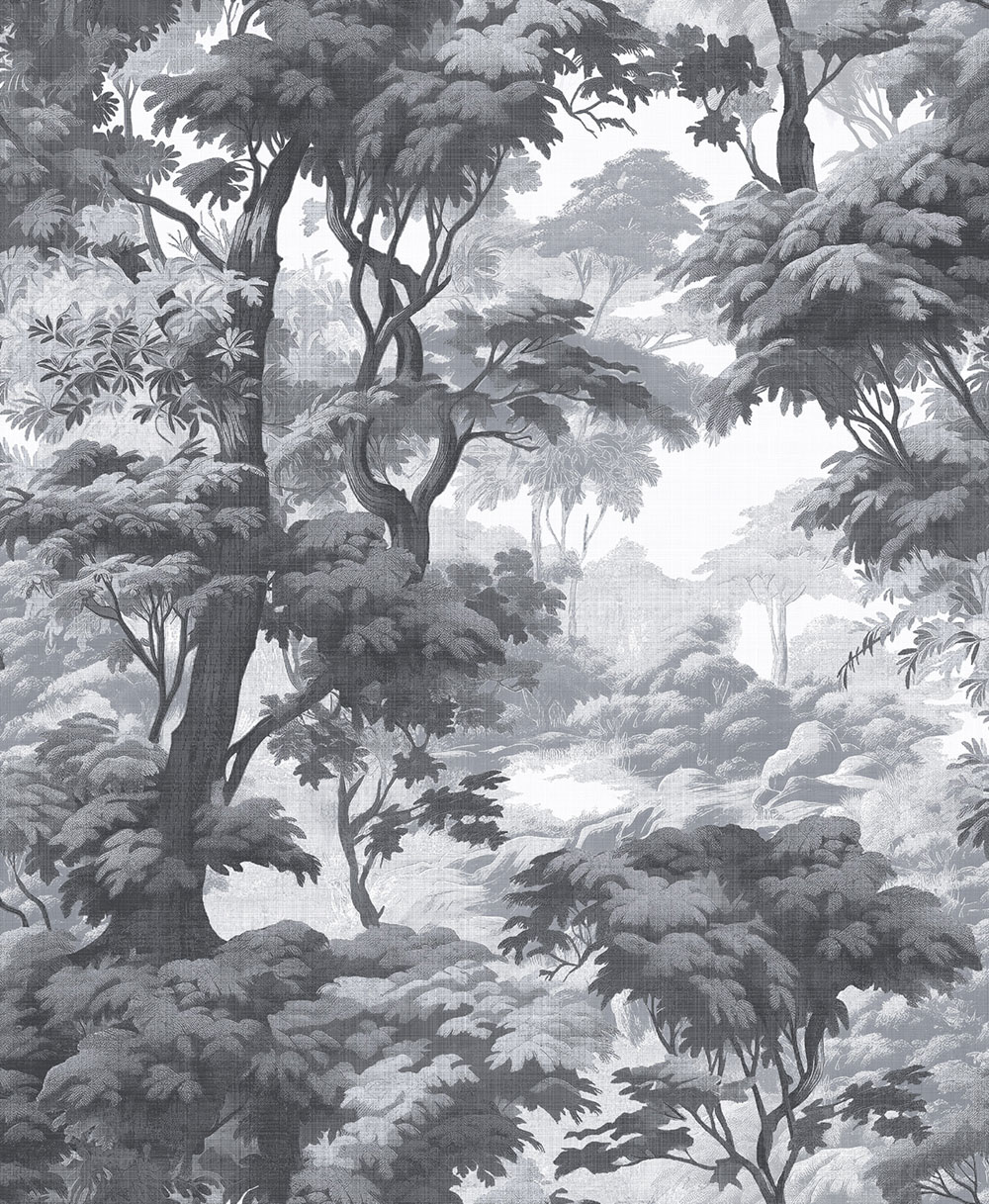 Vliesová tapeta na zeď, šedo-černá, les, stromy, 127930, Arboretum, Graham Brown Premium