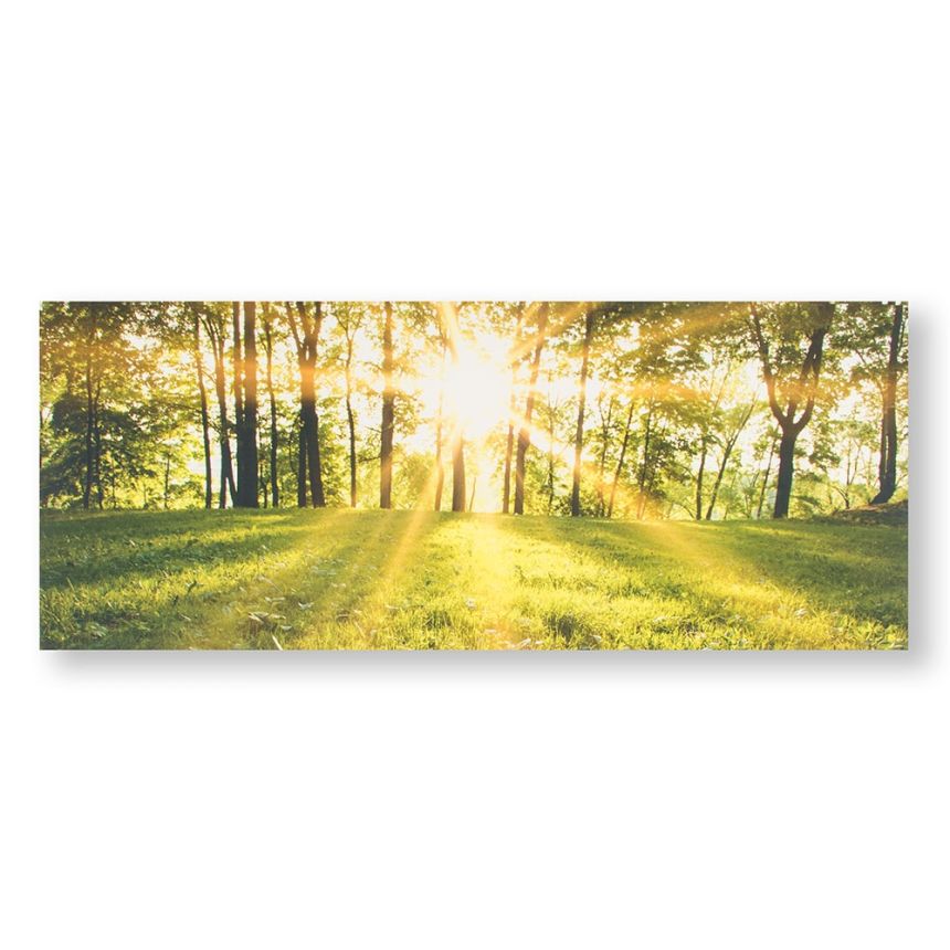 Tištěný obraz Les ve slunci 105887, Tranquil Forest Fields, Wall Art, Graham & Brown