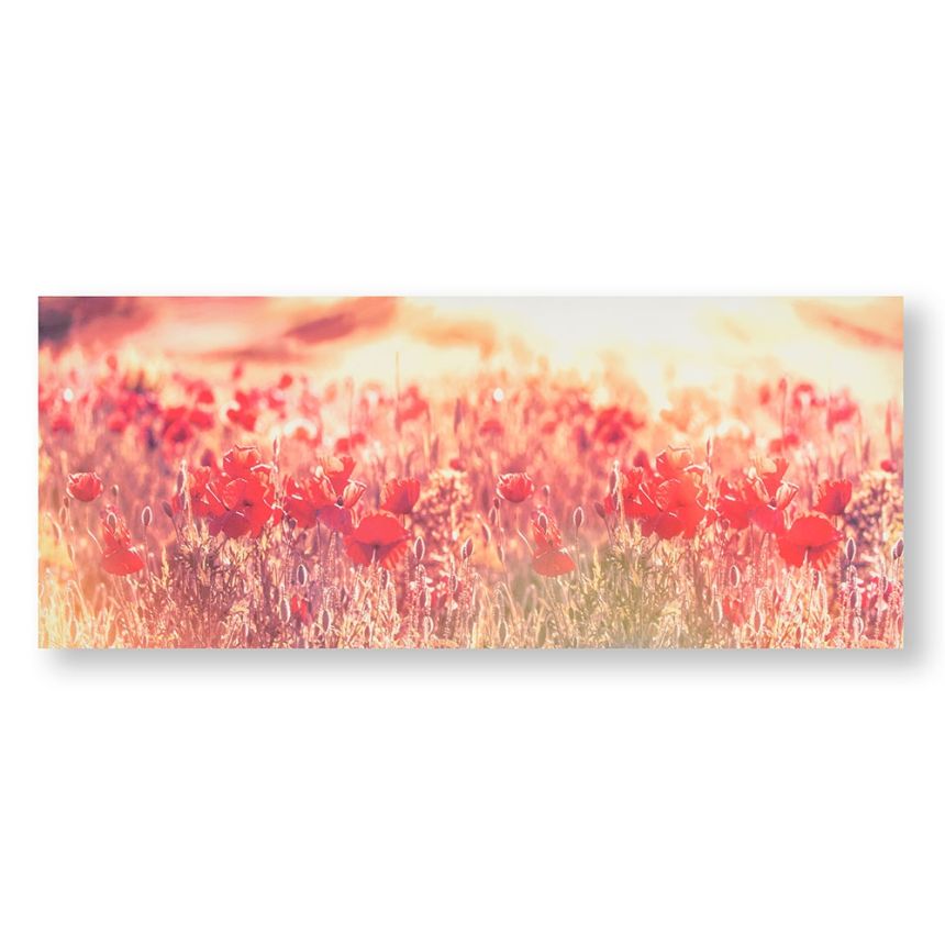 Tištěný obraz Vlčí máky 105886, Peaceful Poppy Fields, Wall Art, Graham & Brown