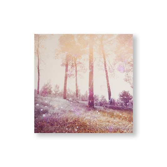 Tištěný obraz 105881, Meadow Daydream, Wall Art, Graham & Brown