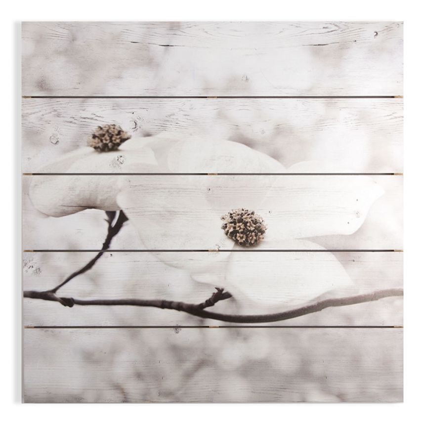 Obraz - tisk na dřevě - Serenity Blossoms 104589, Wall Art, Graham Brown