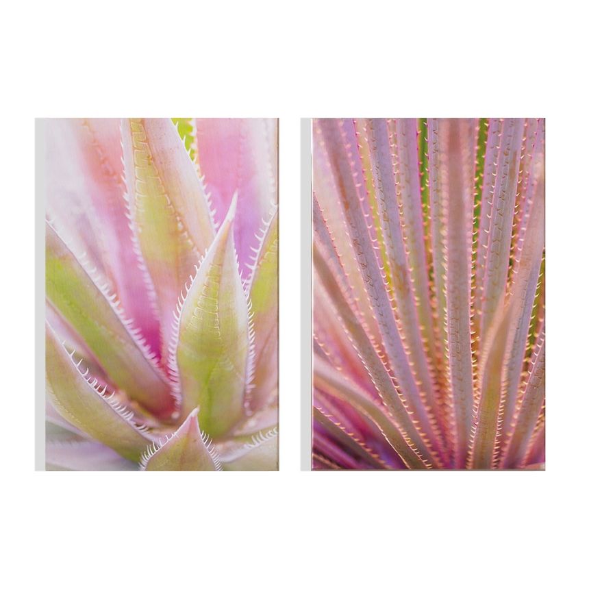 Set bezrámových obrazů Blushed Tropics 104578, Wall Art, Graham Brown