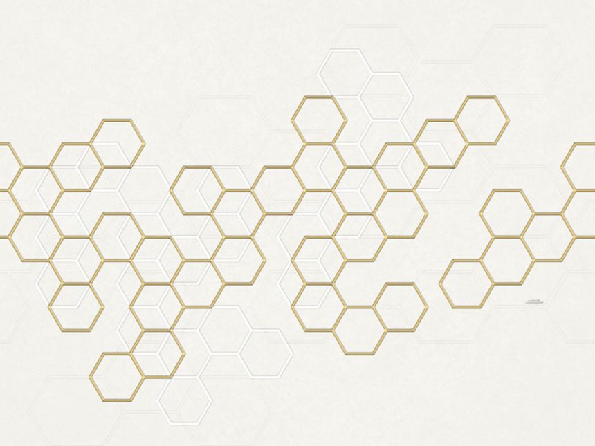 Luxusní geometrická obrazová tapeta s hexagony Z90068, 330 x 300 cm, Automobili Lamborghini 2, Zambaiti Parati