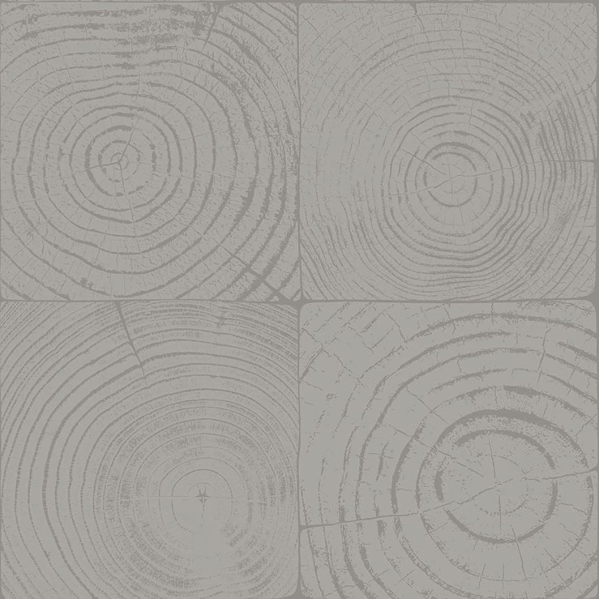 Vliesová tapeta na zeď šedá, imitace dřeva s letokruhy 347548, Matières - Wood, Origin
