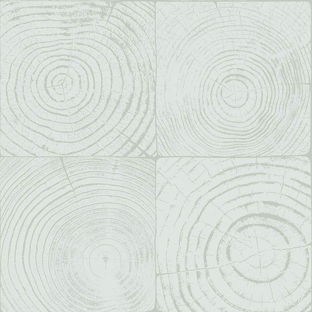 Světle tyrkysová vliesová tapeta, imitace dřeva s letokruhy 347545, Matières - Wood, Origin