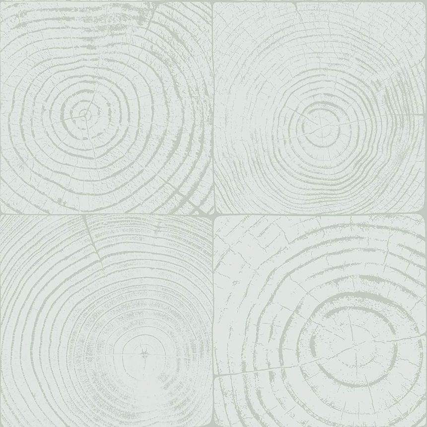 Světle tyrkysová vliesová tapeta, imitace dřeva s letokruhy 347545, Matières - Wood, Origin
