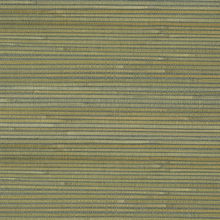 Přírodní tapeta na zeď 303511, Natural Wallcoverings III, Eijffinger
