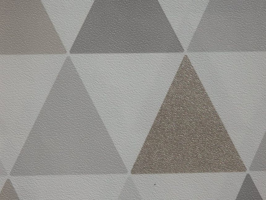 Vliesová tapeta na zeď geometrický vzor 103167, Vavex 2019, Vavex