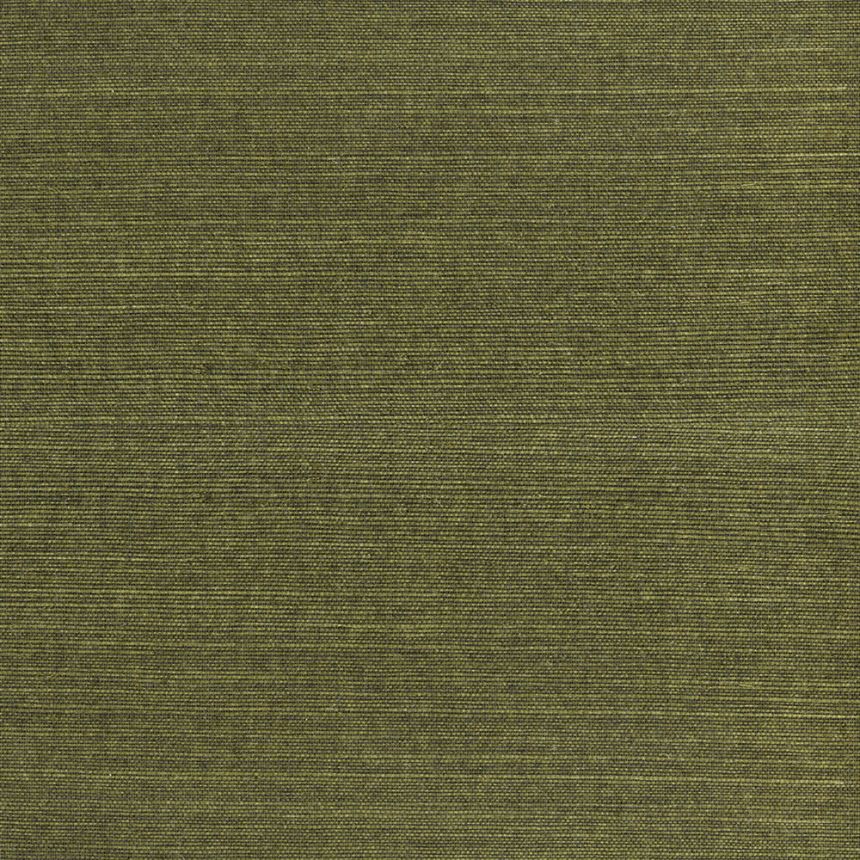 Přírodní tapeta na zeď 303501, Natural Wallcoverings III, Eijffinger