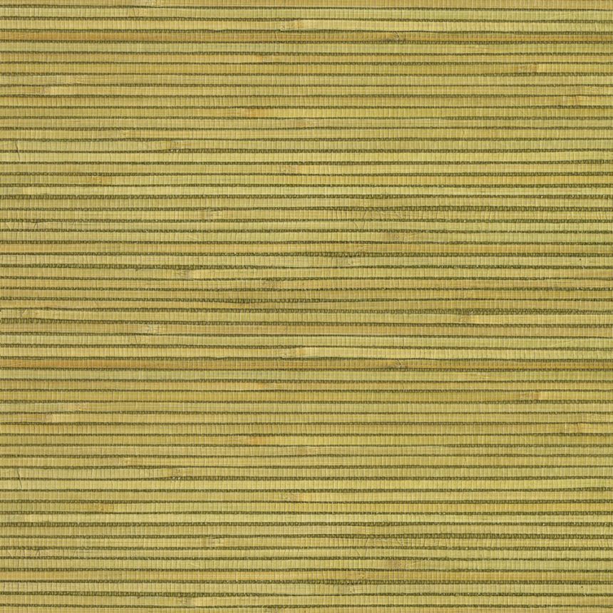 Přírodní tapeta na zeď 303500, Natural Wallcoverings III, Eijffinger