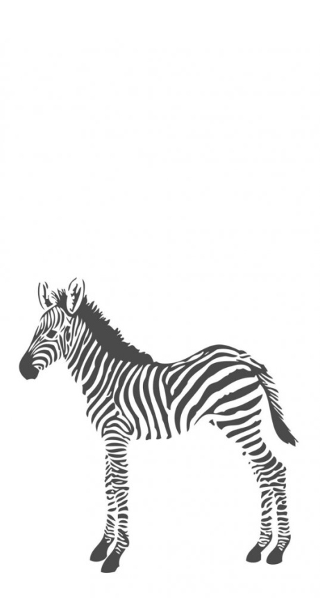 Vliesová obrazová tapeta - zebra 357217, 150x279cm, Precious, Origin