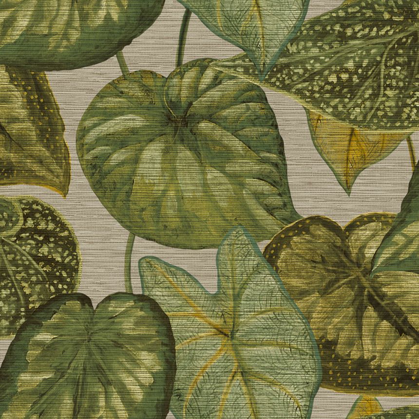 Strukturovaná vliesová tapeta, zelené listy TA25052 Tahiti, Decoprint