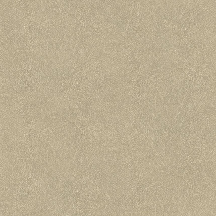 Vliesová tapeta na zeď, béžová, imitace kůže TA25021 Tahiti, Shades of Colour, Decoprint