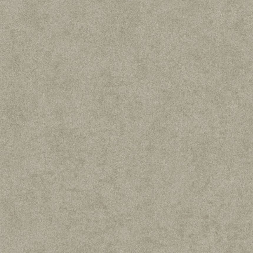 Strukturovaná vliesová tapeta na zeď šedá, AF24504, Affinity, Decoprint