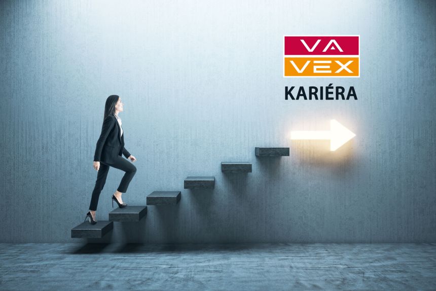Kariéra Vavex 